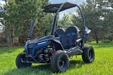 Preview: Buggy Ceetah Mini 163 ccm OHC 4 Takt Motor 2 Sitzer